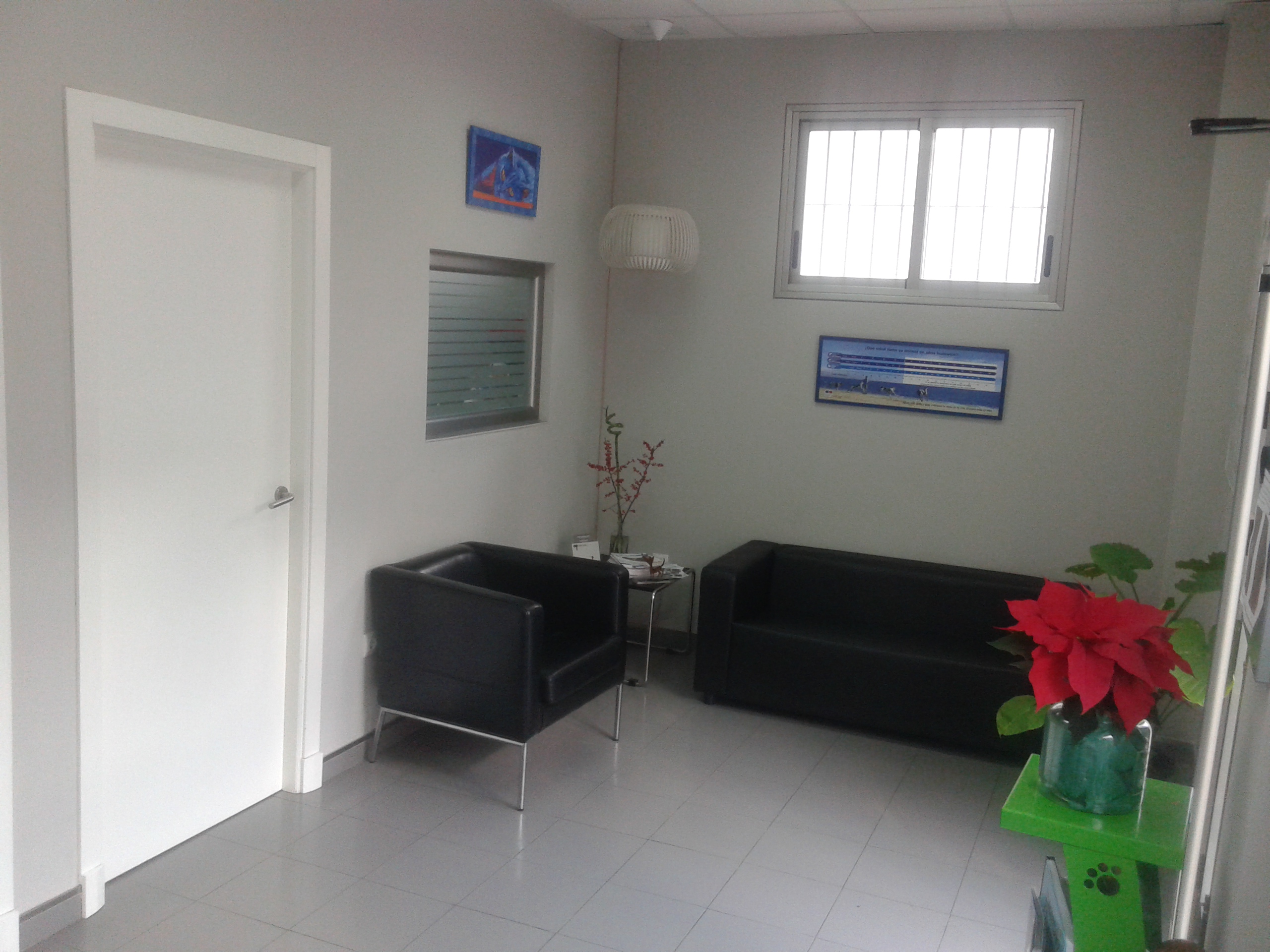 Interior of the clinic (2)